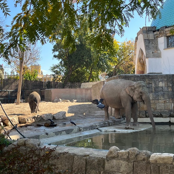 Foto tirada no(a) Budapesti Állatkert | Budapest Zoo por Adrienn M. em 10/18/2022