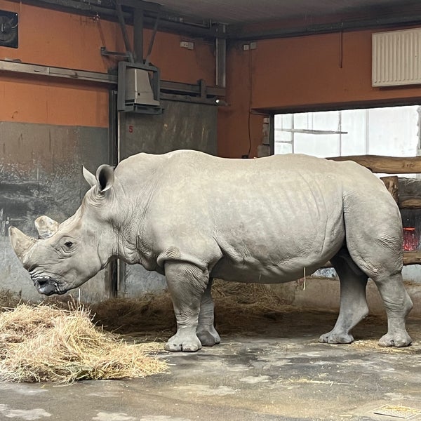 Photo taken at Budapest Zoo by Adrienn M. on 10/27/2022