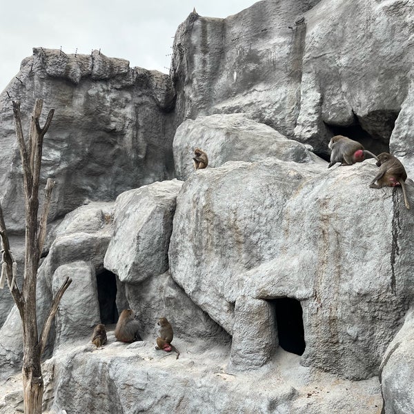 Photo taken at Budapest Zoo by Adrienn M. on 10/21/2022