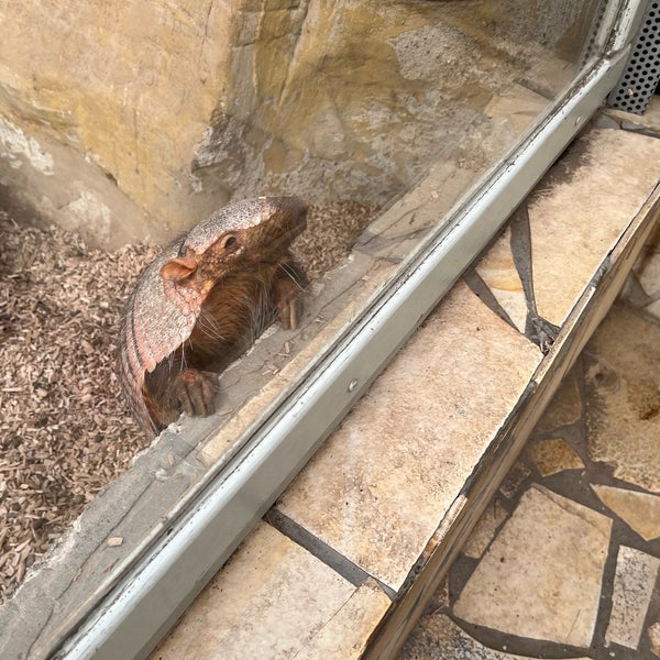 Photo prise au Jardin zoologique et botanique de Budapest par Adrienn M. le10/21/2022