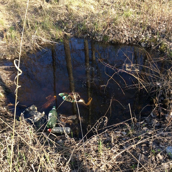 ленкинохроника и лентехфильм студии. воронка aquasystem d125 rr20. воронка 150/100 мм ral 9003 сигнальный белый. черный воронок машина нквд. воронка от 203 мм снаряда.