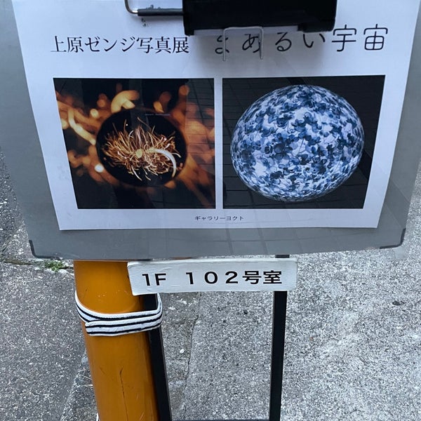 Photos At Gallery Yocto ヨクト 新宿区 22 Visitors