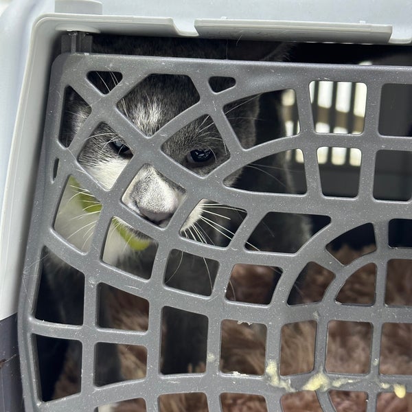 Das Foto wurde bei Joon Veterinary Clinic &amp; Pet Shop von خالد am 4/13/2024 aufgenommen