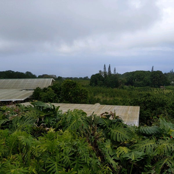 5/21/2022 tarihinde scott ..ziyaretçi tarafından Heavenly Hawaiian Farms'de çekilen fotoğraf