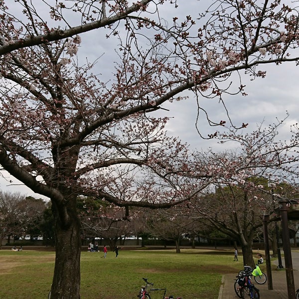 Photos At 穴川中央公園 Park In 千葉市 Photos At 穴川中央公園 Park In 千葉市