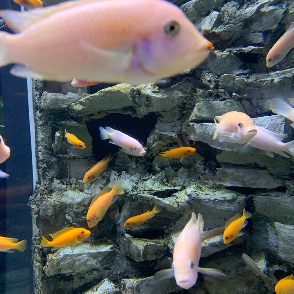 Photo taken at Aquarium Cancun by Vero D. on 7/12/2019