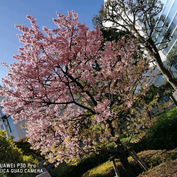 調布市立 中央図書館 調布 5 Tips