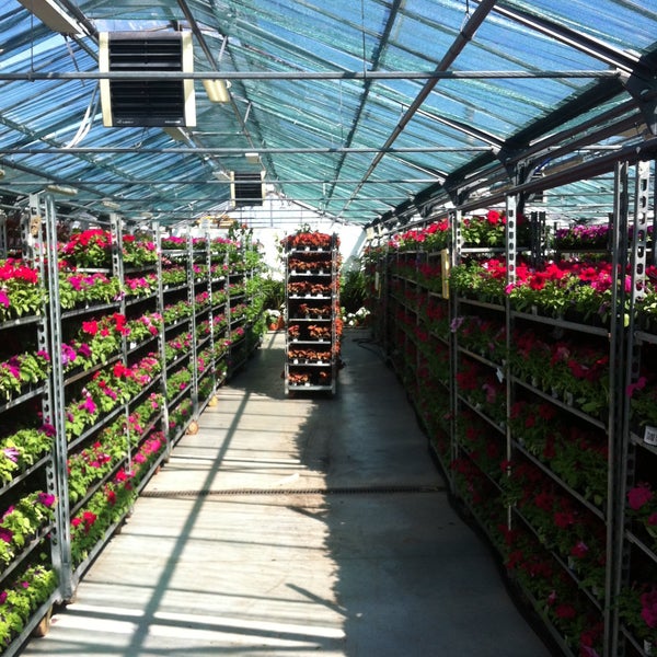 Пулковский питомник растений. Цветочная поляна питомник. Пулковский питомник растений. Белоостровский питомник растений. Пулковский питомник растений.