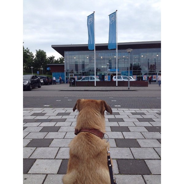 Albert Heijn Tussen de Vaarten Zuid