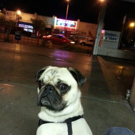 Florence Car Wash Car Wash and Detail