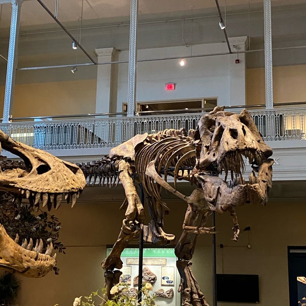 Das Foto wurde bei Carnegie Museum of Natural History von Erica L. am 9/17/2022 aufgenommen