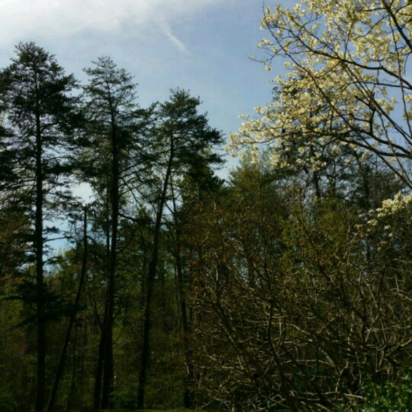 Hamilton Lakes Housing Development in Greensboro