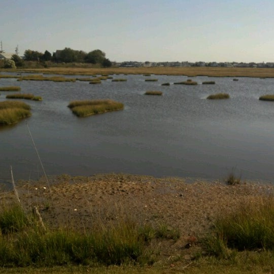 รูปภาพถ่ายที่ Wetlands Institute โดย David B. เมื่อ 10/12/2012