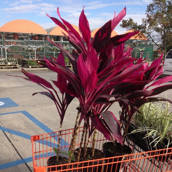 The Home Depot - Harahan, LA'da fotoğraflar