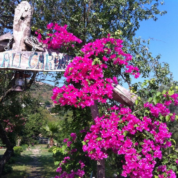 Asmalı Çardak 248 tips