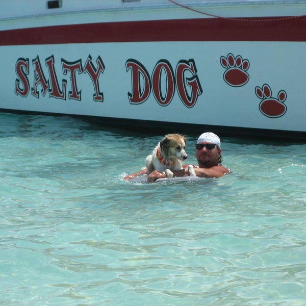 Снимок сделан в Salty Dog Catamaran пользователем Salty Dog Catamaran 9/28/2015