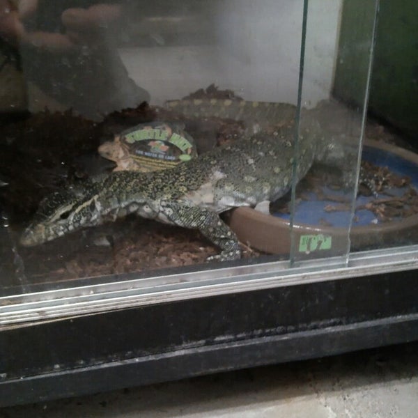 paraiso pets & supplies