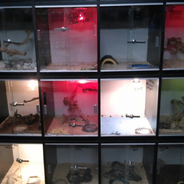 paraiso pets & supplies