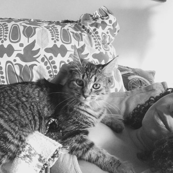 Williamsburg Animal Clinic Veterinarian