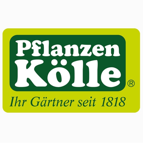 Снимок сделан в Pflanzen-Kölle пользователем pflanzen kolle gartencenter co kg 11/24/2015