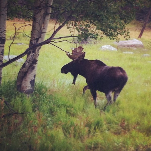 Rocky Mountain National Park Grand Lake Entrance 5 tips