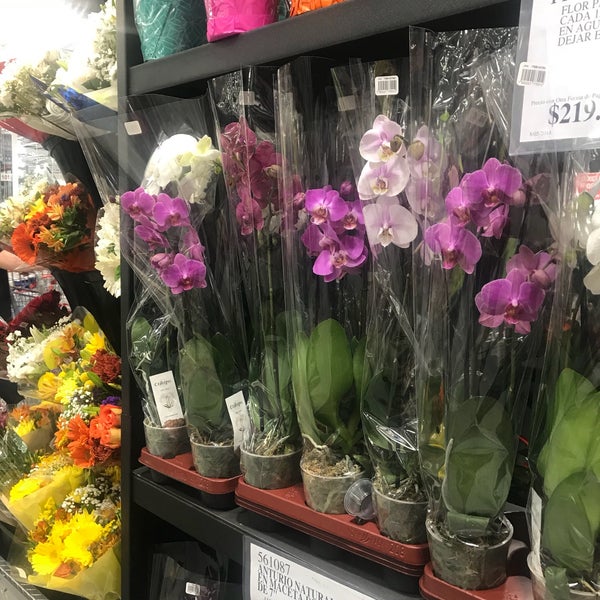 Costco Wholesale Warehouse Shopping Aisle For Flowers Editorial Image