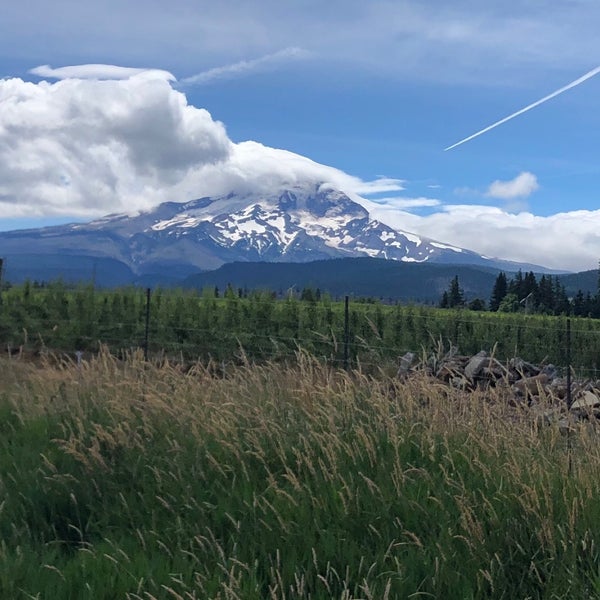 Foto tomada en GoodLife Brewing  por Jenn S. el 7/18/2019