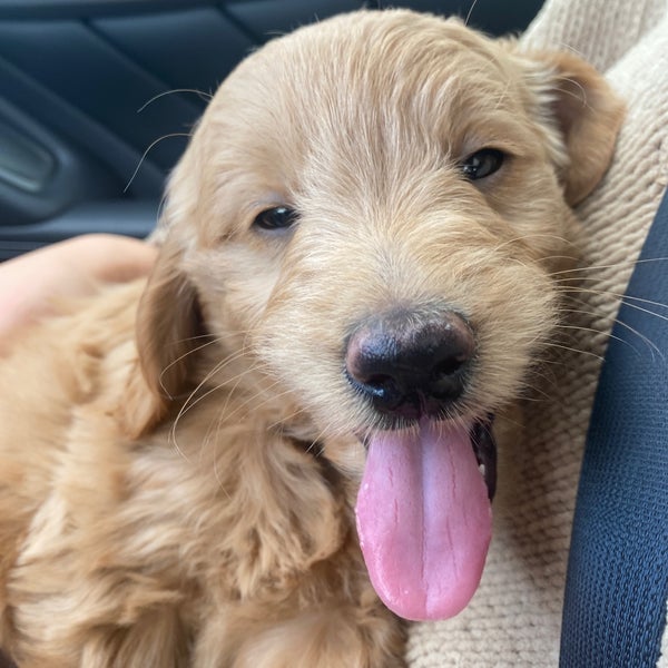 McDonald's Fast Food Restaurant in West Conshohocken