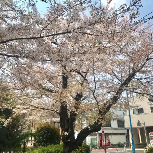 Photos At 西戸山公園 新宿区 東京都