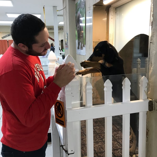 The Puppy Experience Pet Supplies Store in Riverhead