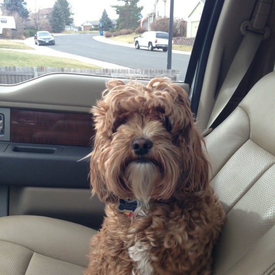 petsmart gartrell