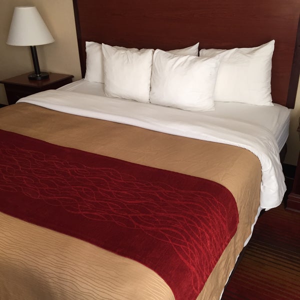 Comfort Inn Hotel in Towson