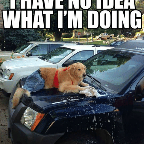 Mister Car Wash & Express Lube Car Wash