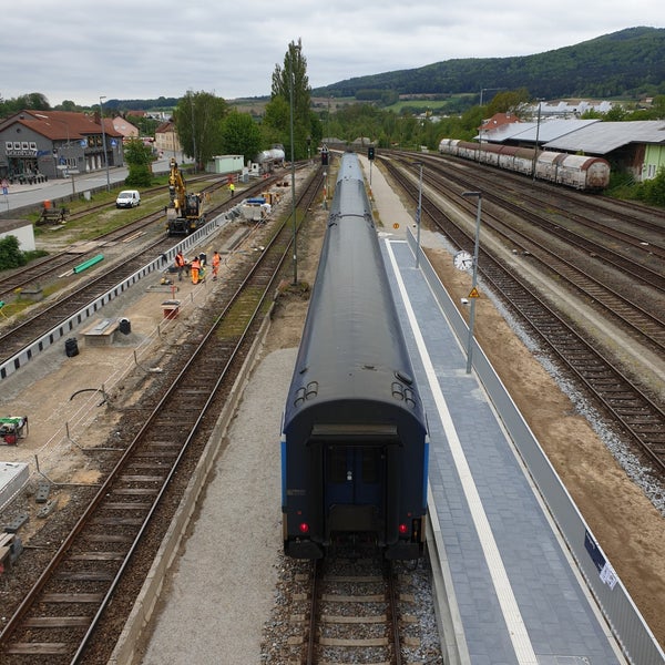 Transen Bruste Wald Doppelter