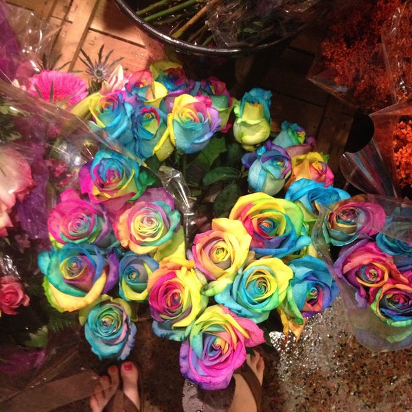 Wegmans Flowers Cherry Hill Nj Best Flower Site