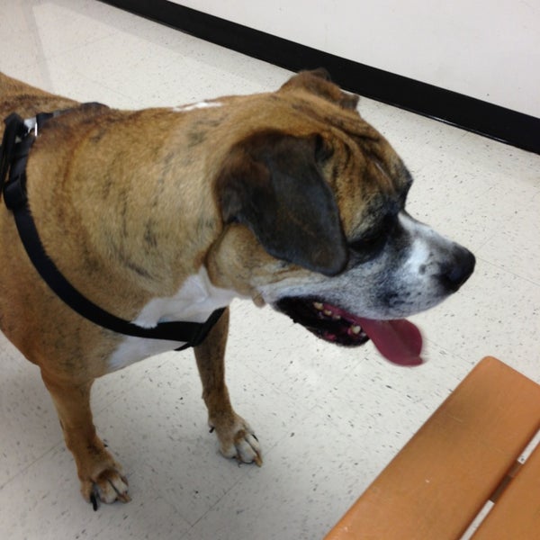 Photos At Banfield Pet Hospital Veterinarian In Winter Garden Photo Taken At Banfield Pet Hospital By Mike S On 2 8 2018