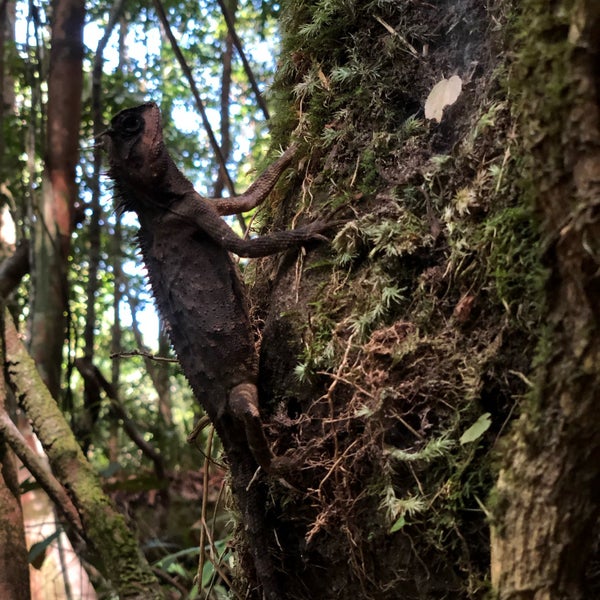 Снимок сделан в Tub Kaek - Khao Ngon-Nak Nature Trail пользователем Andri D. 1/16/2020