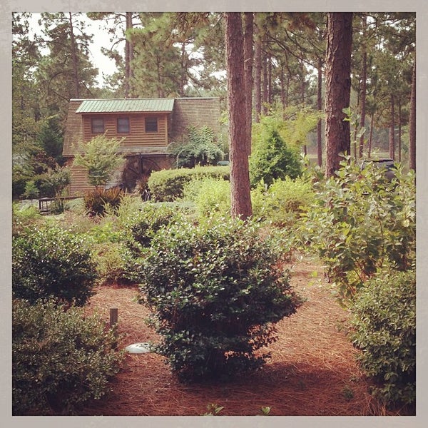 Sycamore Lodge Camping Campground in Jackson Springs