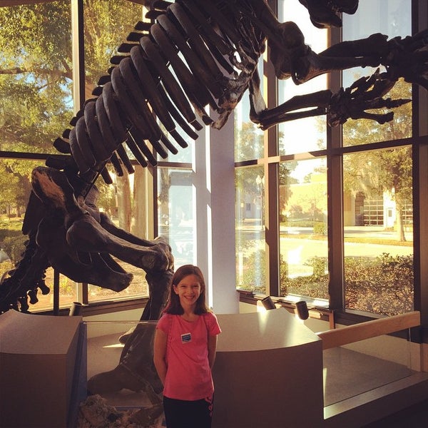 Albums 104+ Pictures cape fear museum of history and science photos Latest