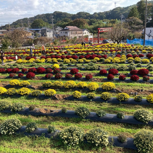 飯山温泉 ふるさとの宿 厚木のホテル 飯山温泉 ふるさとの宿 厚木のホテル