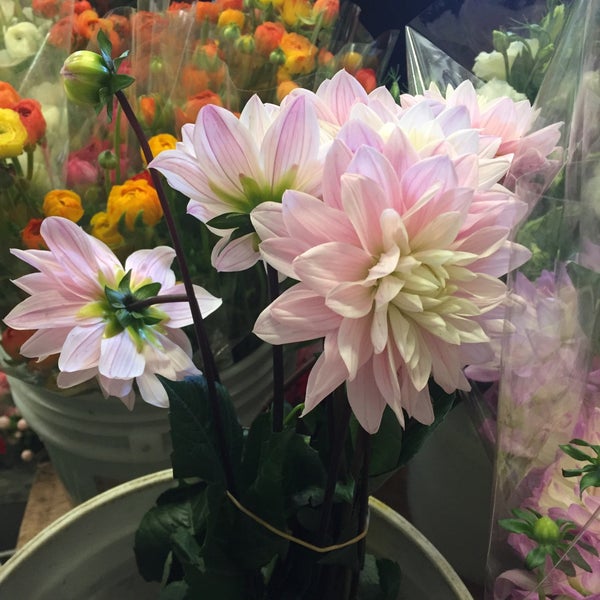 Photo taken at SF Flower Mart by Silvia W. on 1/14/2017