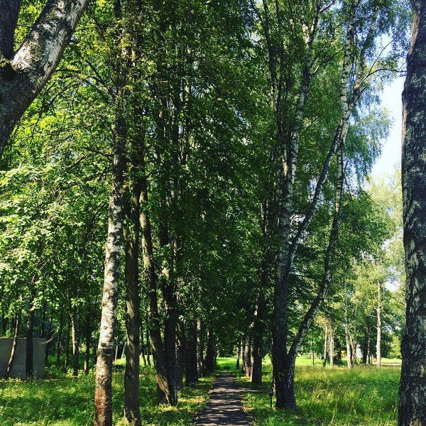 Белая Аллея Интернет Магазин Москва