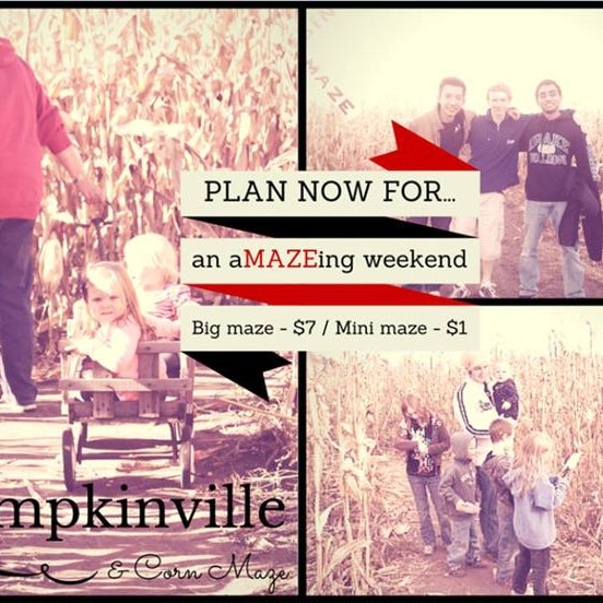Take the corn maze challenge!  In 2015 the BIG maze is just $7 and the mini maze is only $1.