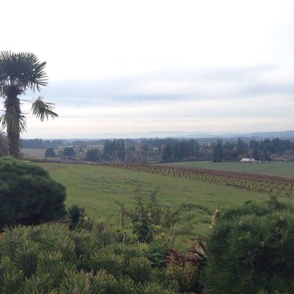 Photo taken at Anne Amie Vineyards by Lindsay S. on 11/18/2014