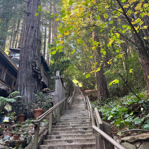 Dipsea Steps 3 tips from 385 visitors