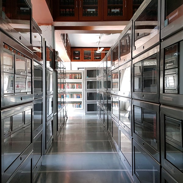 Mmcc Law College Law School