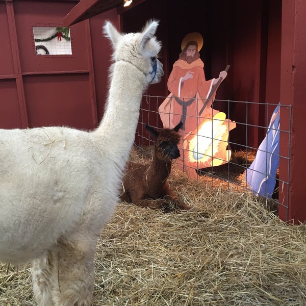 Watson's Garden Center - Gems From The Emerald City Lawn Garden