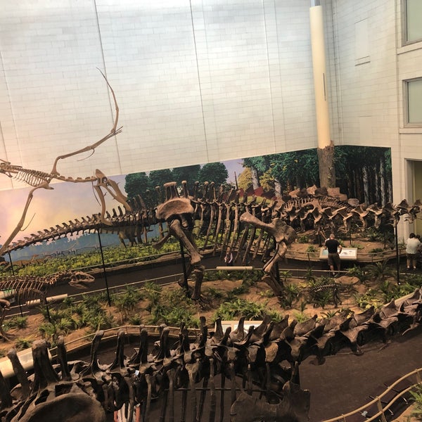 7/10/2022にbrian m.がCarnegie Museum of Natural Historyで撮った写真