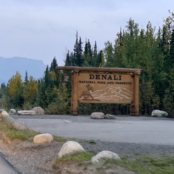 Hap Denali National Park Summer