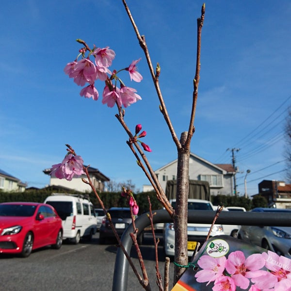 Fotos Em コーナン ドイト東久留米店 東久留米 東久留米市 東京都 Fotos Em コーナン ドイト東久留米店 東久留米 東久留米市 東京都